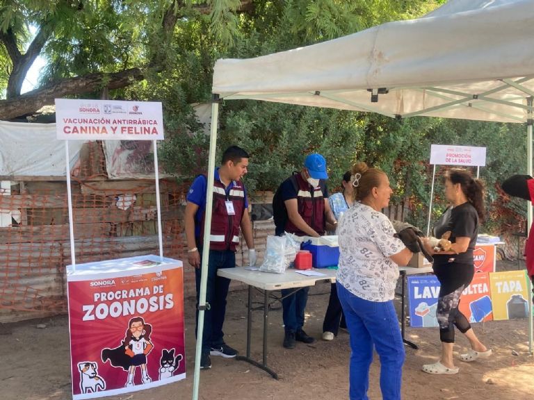 Jornada de salud animal. Foto: Tribuna