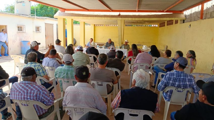 Productores del Valle del Yaqui están en incertidumbre por Plan de Riegos, buscan alternativas para sembrar