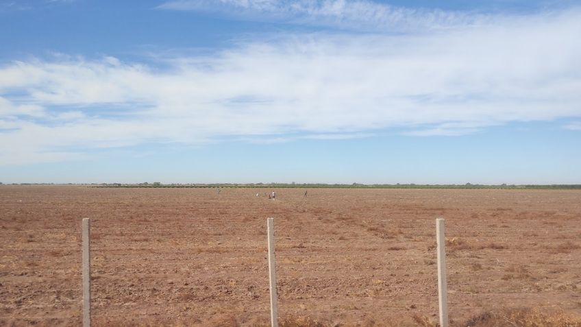 Productores del sur de Sonora exponen crisis por sequía ante el Gobierno Federal