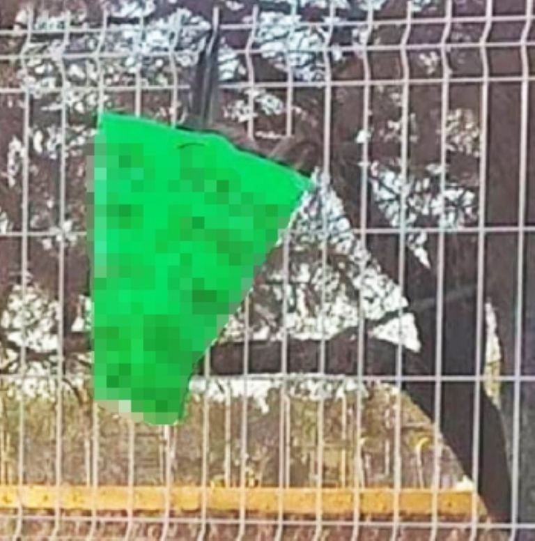 El narcomensaje fue dejado en la barda de un centro deportivo