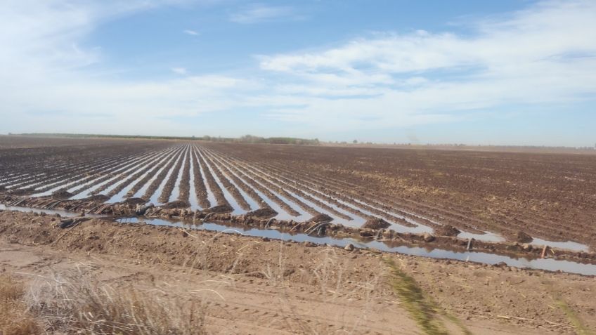 Valle del Yaqui: “Distribución de agua proporcional a los módulos y equitativos a los usuarios”: Aquiles Souque