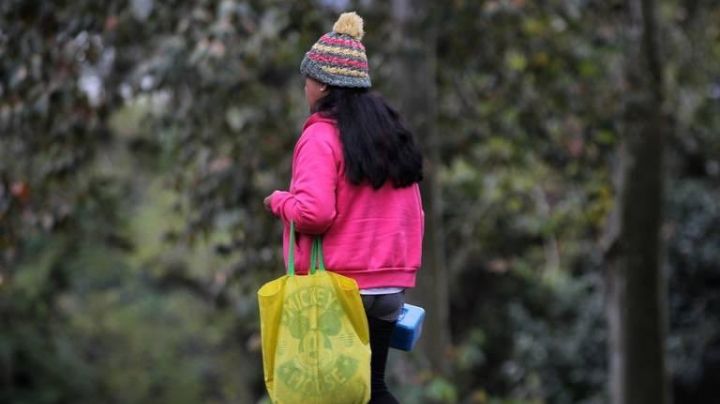 Clima en Sonora hoy 15 de noviembre: Primera Tormenta Invernal causará heladas de -10°C