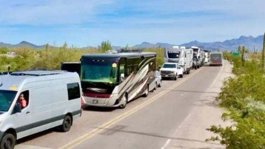 ‘Pájaros de la nieve’ regresan a San Carlos y Miramar; después de varios años por inseguridad