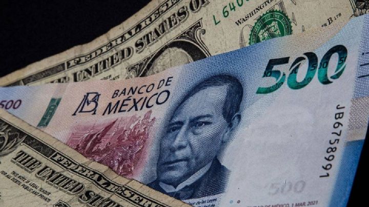 Precio del Dólar hoy 2 de noviembre: El Peso pierde terreno para este sábado