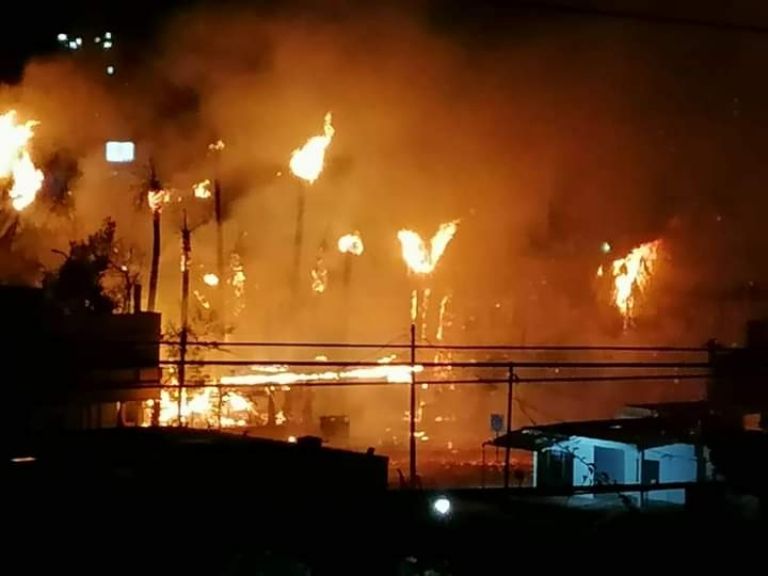El fuego consumió algunas palmeras en la zona