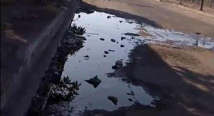 Bulevar Matamoros en la colonia Constitución de Navojoa se encuentra entre aguas negras