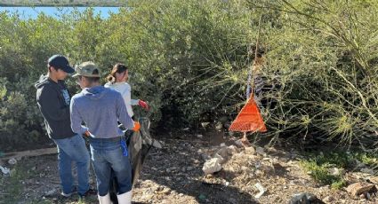 Estudiantes guaymenses van por el rescate de manglares en el Puerto