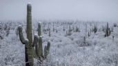 Foto ilustrativa de la nota titulada Clima en Sonora HOY 25 de noviembre: Circulación anticiclónica provocará heladas; Conagua
