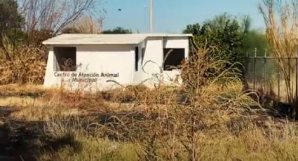 Centro Animal y oficinas de Oomapasn, inversiones fallidas en Navojoa