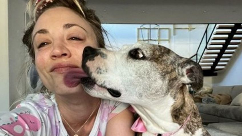 Famosa actriz, pro animal, abandona a su perrita anciana y enferma por su prometido