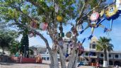Foto ilustrativa de la nota titulada Colectivo instalará 'Árbol de la Esperanza' por desaparecidos de Guaymas y Empalme