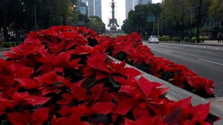 Clima en CDMX hoy 28 de noviembre: Conagua en alerta por ola de frío en la capital