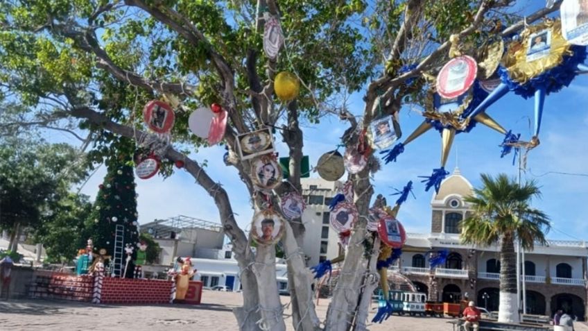Colectivo instalará 'Árbol de la Esperanza' por desaparecidos de Guaymas y Empalme