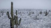 Foto ilustrativa de la nota titulada Clima en Sonora HOY 4 de noviembre: Conagua advierte lluvias y caída de nieve