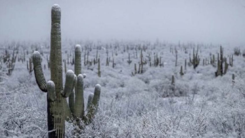 Clima en Sonora HOY 4 de noviembre: Conagua advierte lluvias y caída de nieve