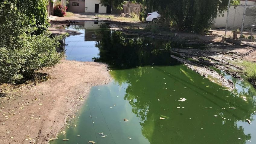 Vecinos de la colonia Ampliación Beltrones en Navojoa viven sumergidos entre aguas negras