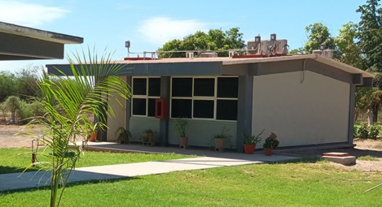 Cancelan clases en secundaria de Sonora por balaceras