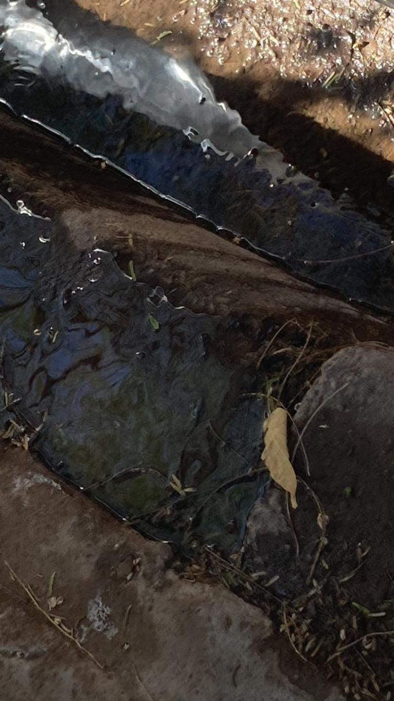 Vecinos de la Faustino Félix demandan solución a problema de drenaje