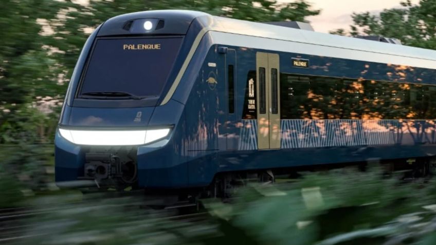 Estorba fauna al Tren Maya: Despliegan plan para ahuyentar o sacrificar a animales