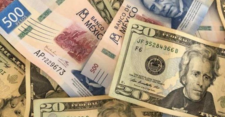 Precio del dólar de este 14 de diciembre del 2024