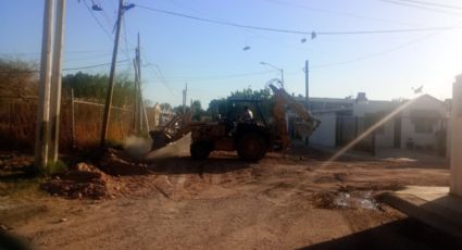 Vecinos de la colonia Laureles rellenan su calle con tierra ante falta de rehabilitación en Navojoa