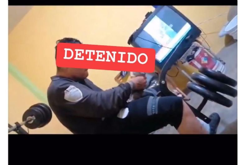 Torturador de gatos en Naucalpan