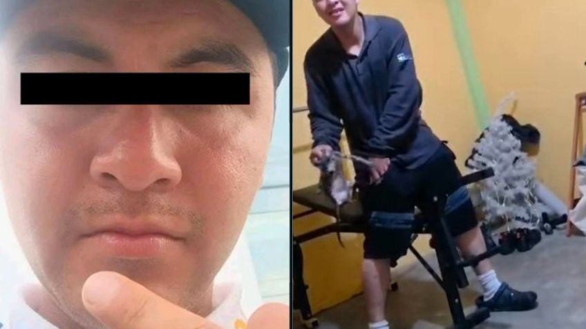Torturador de gatos Naucalpan: Detienen a Alejandro N; aparece en registro nacional