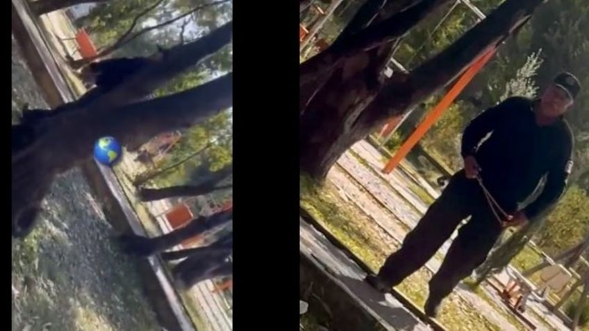 Captan a vigilante lastimando a perritos con una resortera; sucedió en Edomex