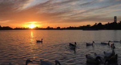 Clima en Sonora hoy 20 de diciembre: Día soleado, sin lluvias y máximas de 40°C; Conagua