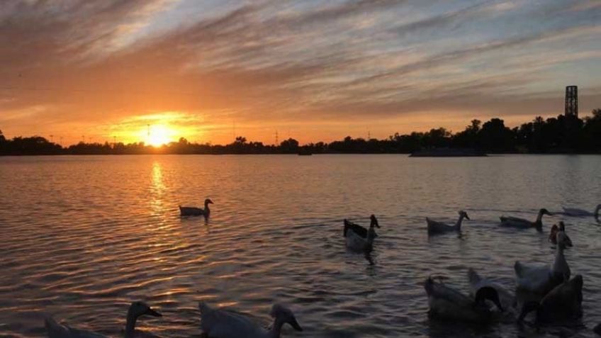 Clima en Sonora hoy 20 de diciembre: Día soleado, sin lluvias y máximas de 40°C; Conagua