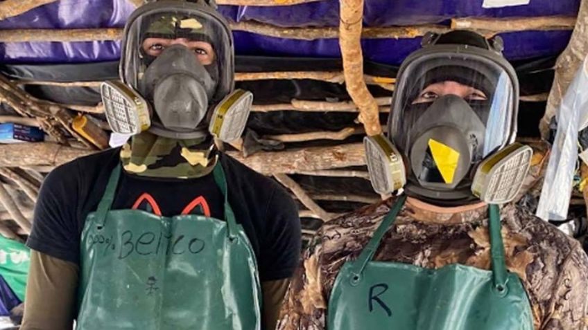 Así es como los cárteles prueban la potencia del fentanilo en animales y personas vulnerables