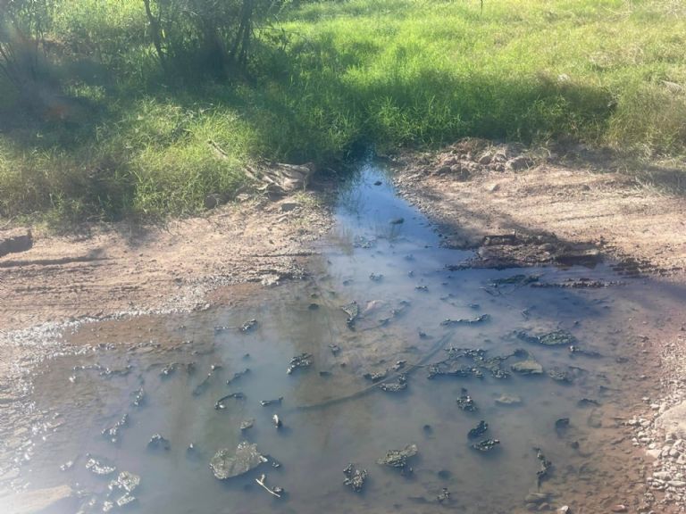 Vecinos del fraccionamiento ‘Las Quintas’ viven con riesgos de salud por fuga en Guaymas