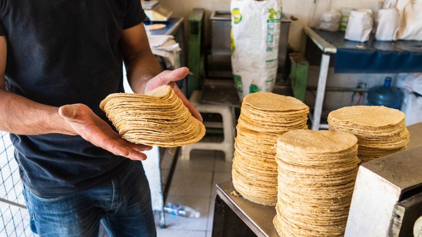 Golpe a la economía: Precio de la tortilla podría alcanzar los 32 pesos por kilo en 2025