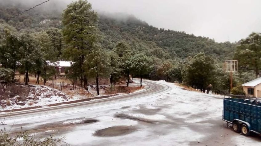 Clima en Sonora HOY 29 de diciembre: ¡Alerta! Conagua prevé calor de hasta 40ºC y heladas de -5ºC