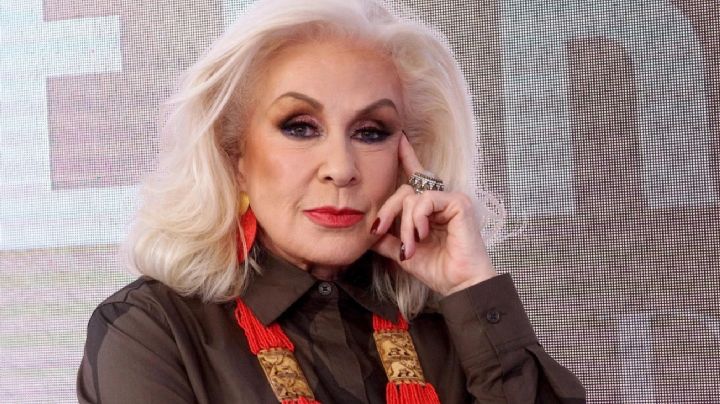 ¿Apoya a Luis de Llano? Laura Zapata estremece con su reacción al triunfo de Sasha Sokol