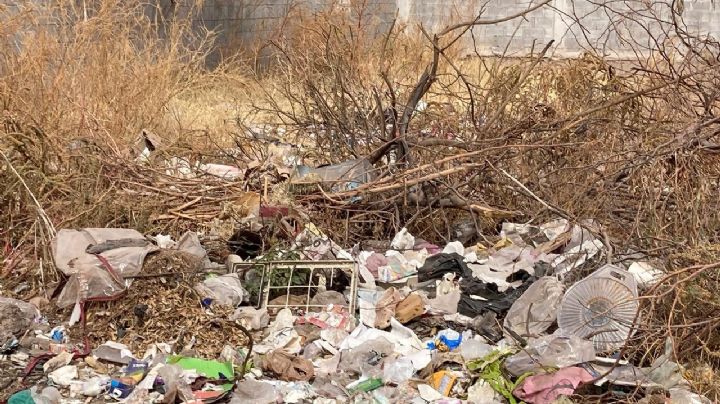 Drenajes tapados y vecinos “cochinones”, problemática de la colonia Real de Sevilla en Obregón