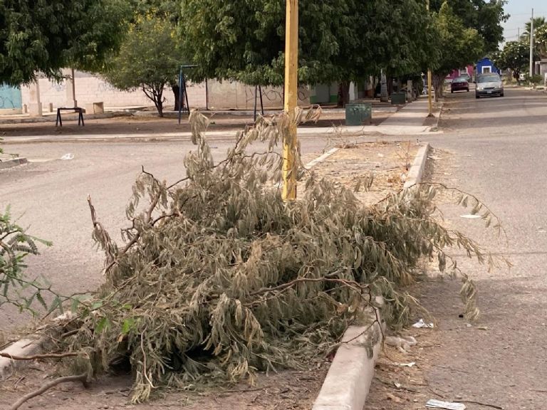 Drenajes tapados y vecinos “cochinones”, problemática de la colonia Real de Sevilla en Obregón