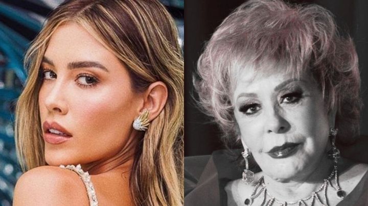 A casi 1 semana de la muerte de Silvia Pinal, Michelle Salas rompe el silencio de su muerte