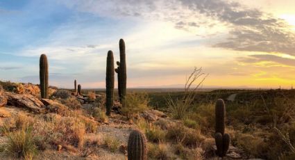 Temperatura en Hermosillo: Se espera cielo despejado y clima templado HOY 5 de diciembre