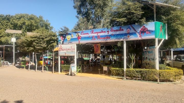 Coqueros de la Laguna del Náinari esperan repunte de ventas durante las vacaciones