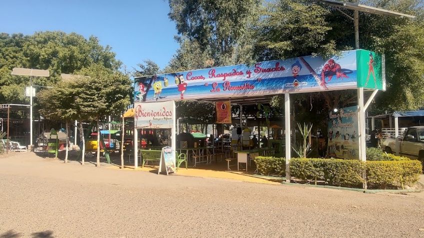 Coqueros de la Laguna del Náinari esperan repunte de ventas durante las vacaciones