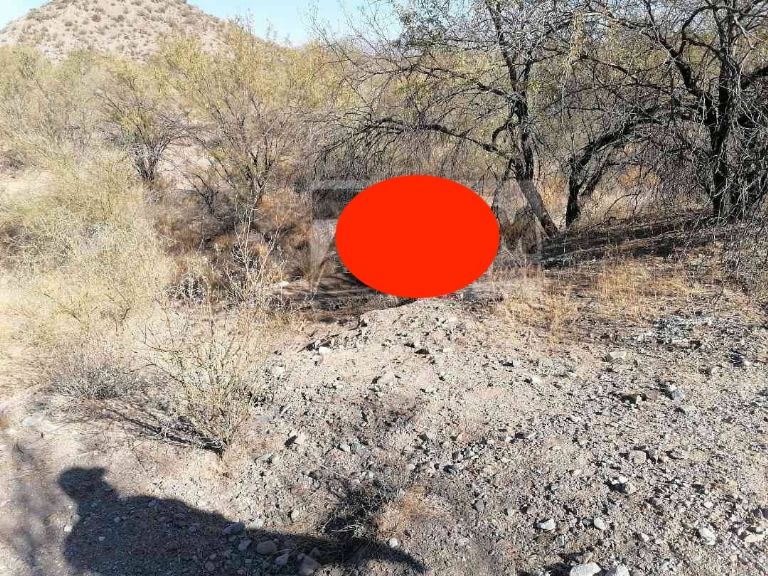 Hallan cuerpo sin vida en arroyo de Caborca, Sonora. Foto: Facebook