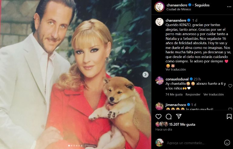 Chantal Andere sufre la muerte de su perro, 'Kenzo'