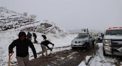 VIDEO: Séptima Tormenta Invernal causa fuerte nevada en Sonora; PC rescata a afectados
