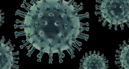 OMS advierte sobre la inminencia de la próxima pandemia: "Es una cuestión de cuándo, no de si ocurrirá"