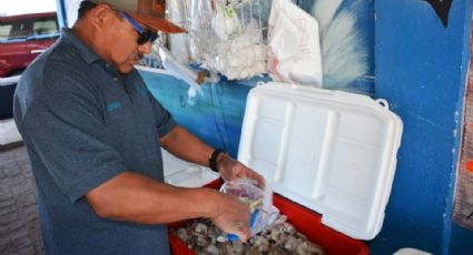 Comerciantes de Guaymas denuncian venta irregular de mariscos durante la Cuaresma 