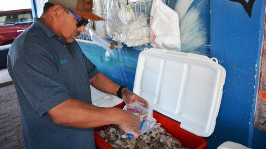 Comerciantes de Guaymas denuncian venta irregular de mariscos durante la Cuaresma 