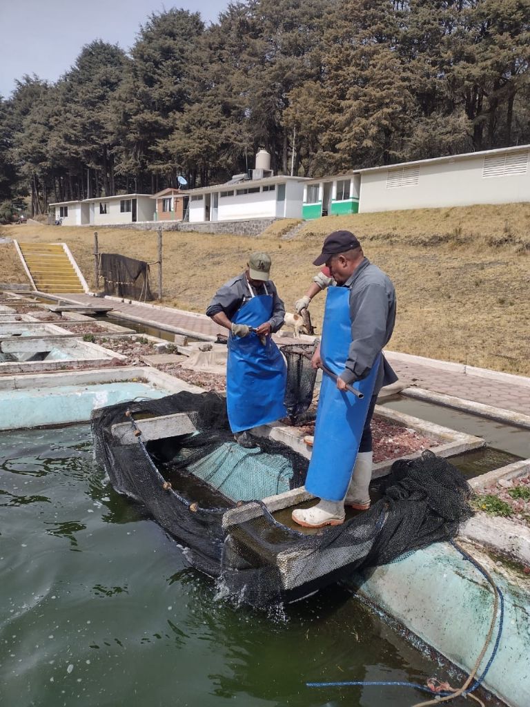 Temporada de Cuaresma en Edomex