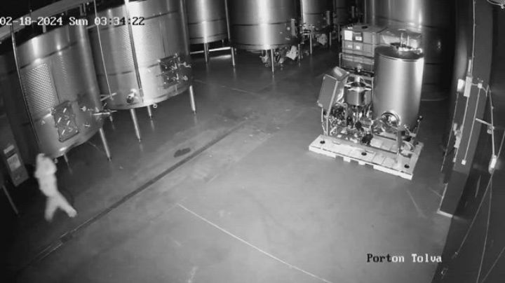 Millonario sabotaje en bodega española: más de 54 millones de pesos en vino derramados