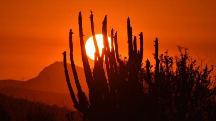 ¿Lloverá?: Conoce cómo será el clima en Sonora HOY jueves 22 de febrero, según Conagua